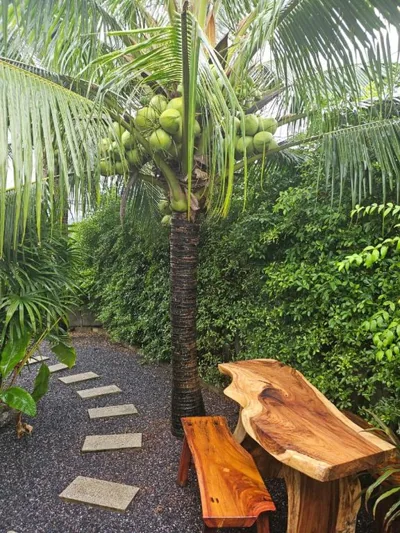Tropical Hideaway Close to the Beach – Foto 12